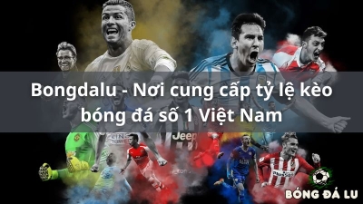 Xem kết quả bóng đá mới nhất tại bongdalu - bongdalu-vip.com